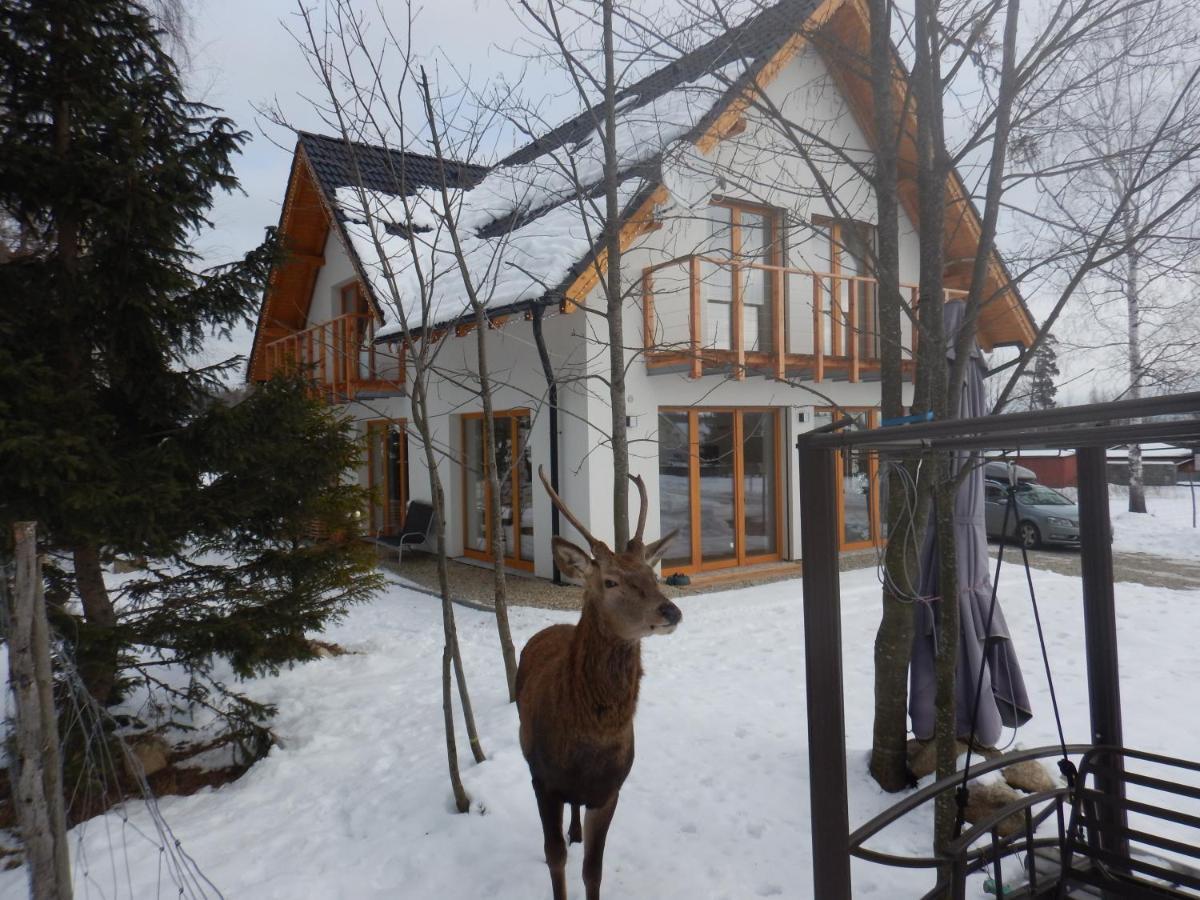 Chalet Deer Trail Tatranska Lomnica Tatranská Lomnica Exterior foto